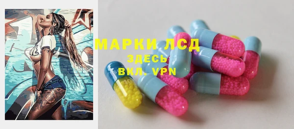 спайс Михайлов