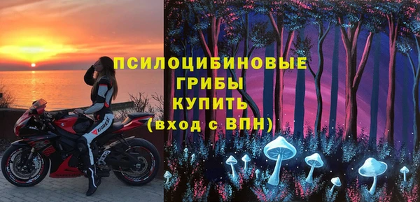 шишки Михайловка