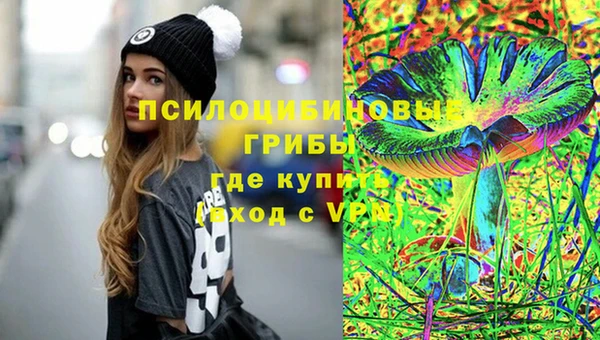 спайс Михайлов