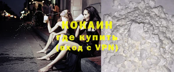 шишки Михайловка